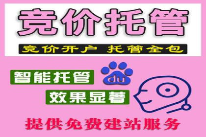 案例剖析：SEM优化策略助力网站流量提升